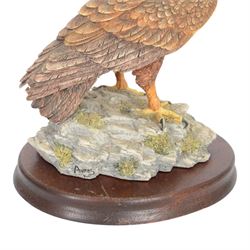 Four Border Fine Arts bird figures, comprising Patience, Courting Grebes, Barn Owl RB15and Golden Eagle RB40, all on wooden plinths, tallest H24cm