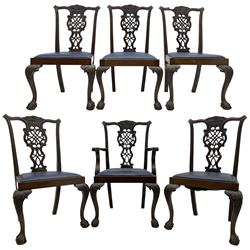  Set of six (5+1) Chippendale design mahogany dining chairs, shaped cresting rail over pierced splat with elaborately carved foliate and scrolling decoration, over drop-in upholstered seats, raised on cabriole supports with scrolled acanthus carved knees and ball and claw carved terminals