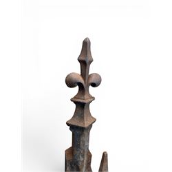 Victorian design cast iron fire grate with fire dogs, final over floral moulding and trefoil base