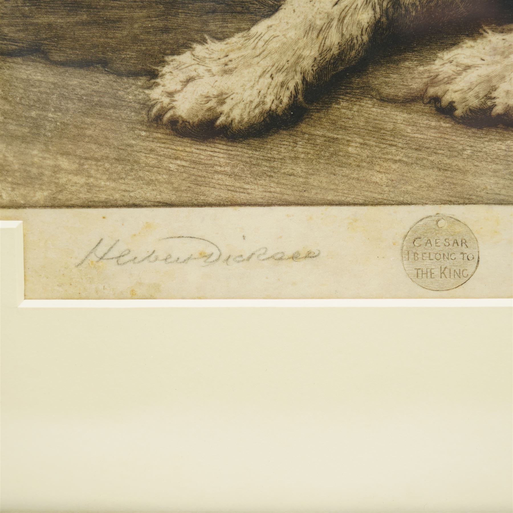 Herbert Thomas Dicksee (British 1862-1942): 'Where’s Master?', first edition artist's proof drypoint etching on vellum signed in pencil pub. Frost & Reed 1911, 39cm x 57cm
Notes: This etching depicts  King Edward VII’s favourite dog, Caesar; hence the etched tag in the margin inscribed 'I Belong to the King'. The Wire Fox Terrier waits for his master following the King’s death in 1910. 
