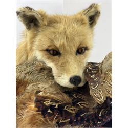 Taxidermy: Red Fox (Vulpes vulpes) with cock pheasant (Phasianus colchicus), open display upon a rocky base, H51cm