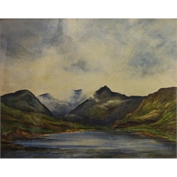  'Loch Arklet', watercolour indistinctly signed titled verso, Runswick Bay, oil signed by T. Gaunt, Autumn Tints, watercolour by same hand, Birds and Lioness, two paintings on plaques etc max 49cm x 62cm (7)  