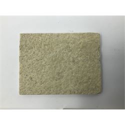 Six dendrite crystals each in an individual sandstone plaque, each plaque H6cm, L8cm