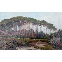 English 20th century): Clearing Before Tall Trees, oil on panel signed indistinctly 17cm x 27cm