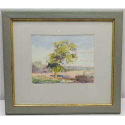 Neil Tyler (British 1945-): 'Tree Sketch', watercolour signed, titled verso 19cm x 24cm