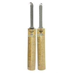 Two signed Yorkshire County cricket bats, from 2011 and 2012 seasons, bearing signatures including Adil Rashid, Andrew Gale, Ryan Sidebottom, Gary Ballance etc