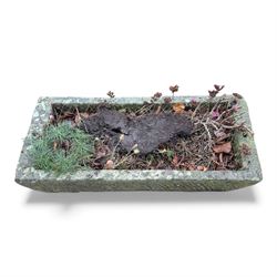 19th century stone trough, planted