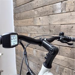 Raleigh Felix Electric bike