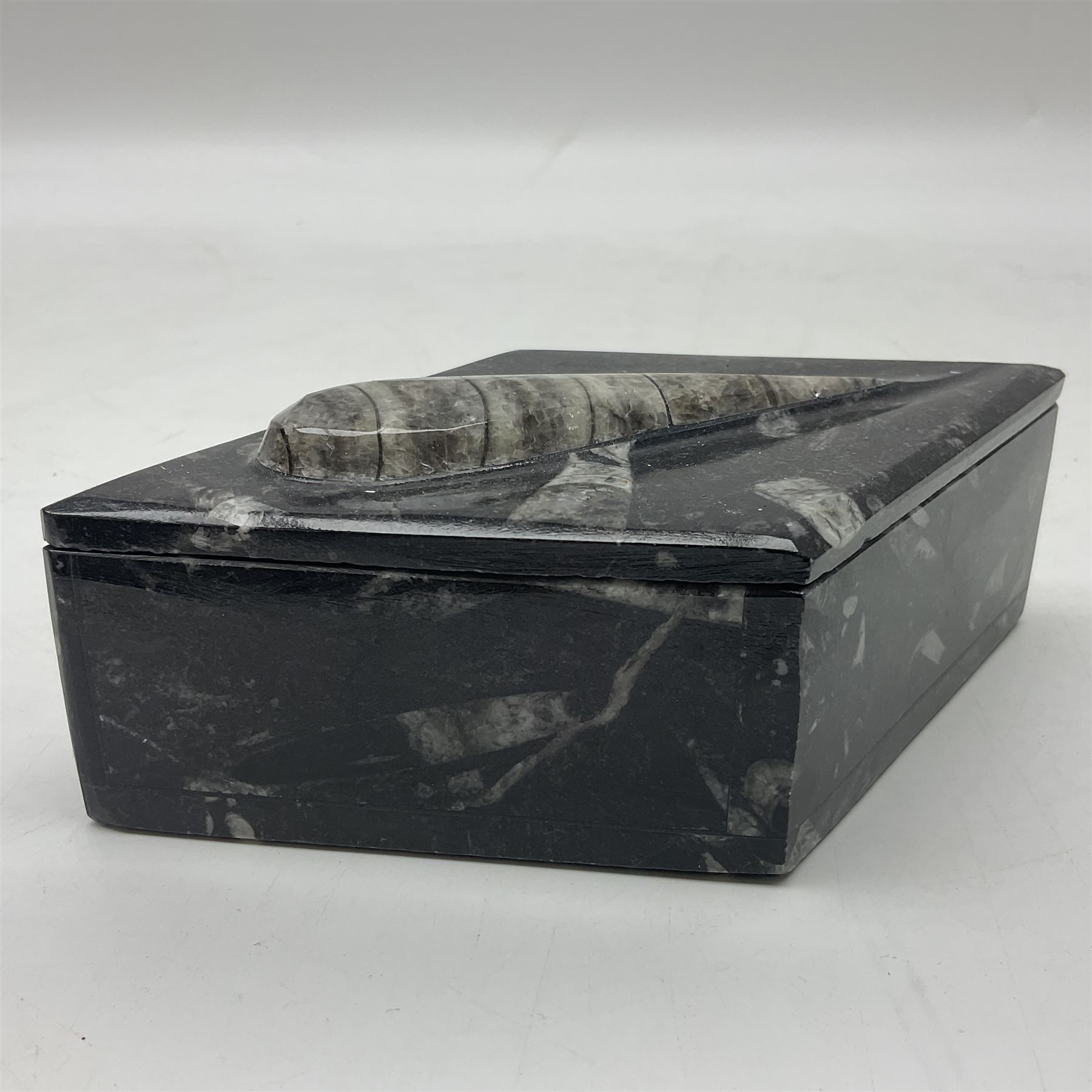 Two boxes, each in the form of a diamond with Orthoceras and Goniatite inclusions, the first with a raised Orthoceras to the lid, the second with a raised Goniatite to the lid, age: Devonian period, location: Morocco, L17cm, H5cm 