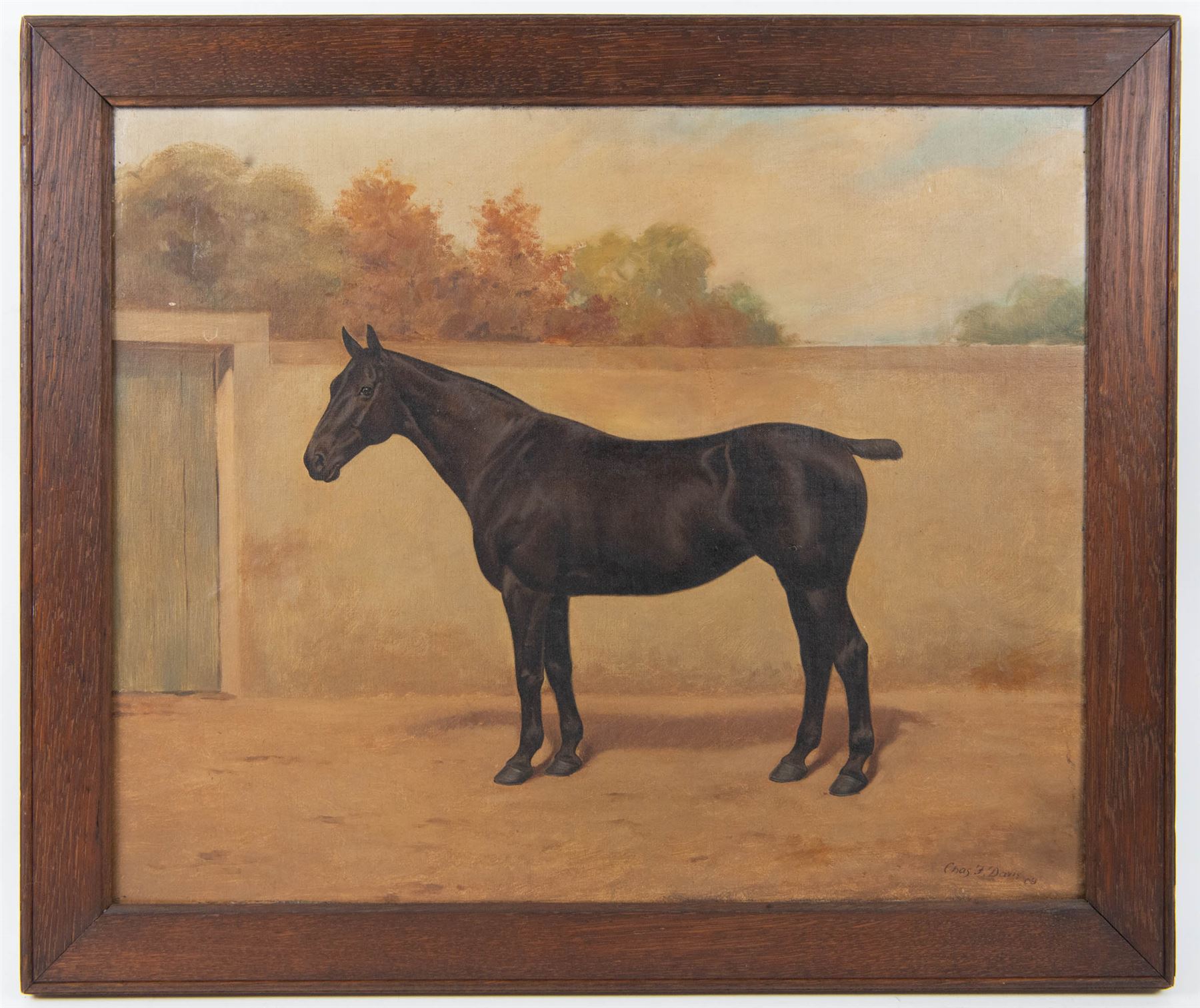 Charles F Davis (British 19th/20th Century): Horse Portraits, pair oils on canvas signed and dated '09 and '05, max 45cm x 55cm (2)