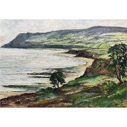 Ken Johnson (British 20th century): Robi