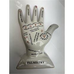 Phrenology head H29cm  and a Palmistry hand H28cm