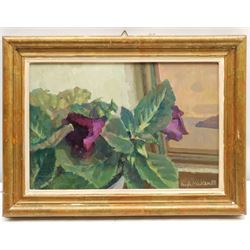 Hugh Micklem (British 1918-2009): 'Gloxinia', oil on board signed and dated 1988, 20cm x 30cm