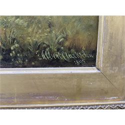 Albert Clark Snr. (British 1821-1909) and Albert James Clark (fl.1890-1943): 'Elford Captain' Portrait of a Shire Horse in Landscape, oil on canvas signed 'Albert Clark and Son' and dated 1895, 50cm x 60cm 