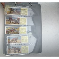 Cigarette, tea and other trade cards, including Ty-phoo, Cavanders Ltd, Rockwell Publishing, Wills, Disney Treasures, various reprint cigarette cards etc, Housed in various ring binder albums and booklets