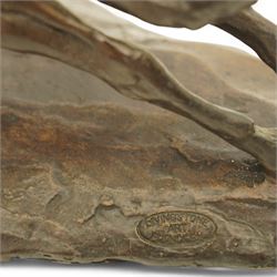 Tessa Pullan (British 1953-): 'Racing Greyhounds', patinated bronze figure, incised with monogram 'TP' and numbered 5/9, with Livingstone Art Founders stamp, W52cm