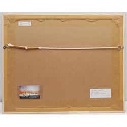 Penny Wicks (British 1949-): 'The Secret Garden Masham', mixed media collage 27cm x 37cm