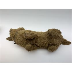 English caramel fudge coloured seated Cairn style terrier dog c1930s-50s with wood wool filling, swivel jointed head with original glass eyes, wire supported front legs and leather collar L25.5