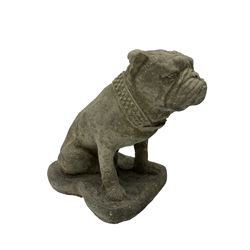 Pair of cast stone garden bulldogs on shaped plinths