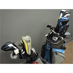  Mixed set of left handed golf clubs, one carry bag and one trolley bag  