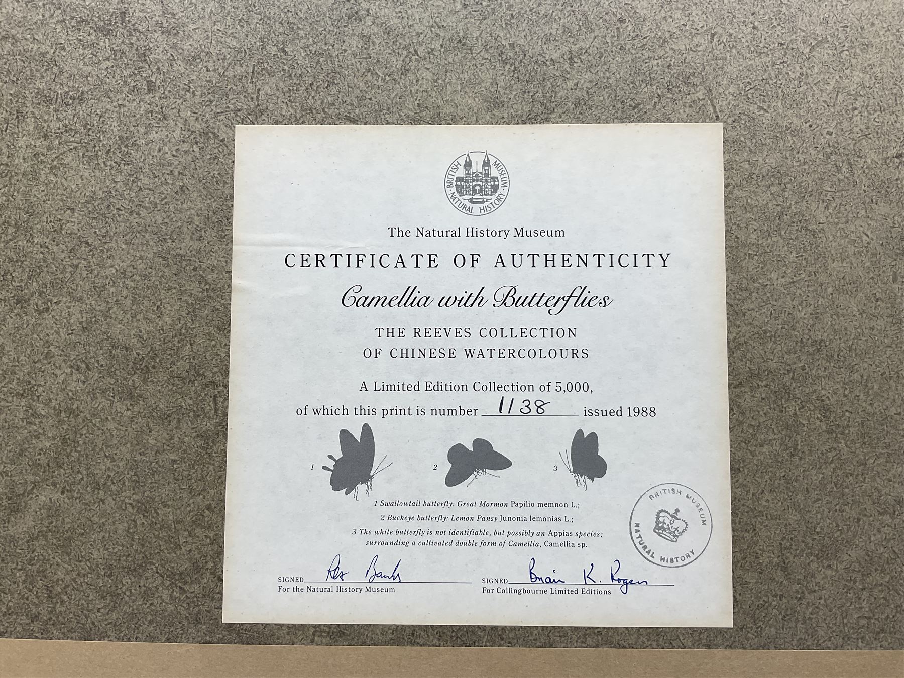 After Franz Andreas Bauer (Austrian 1758-1840): Botanical Studies, set of three limited edition prints for the Natural History Museum together with a set of four other prints from the Reeves Collection with British Museum stamps, certificates verso max 32cm x 21cm (7)