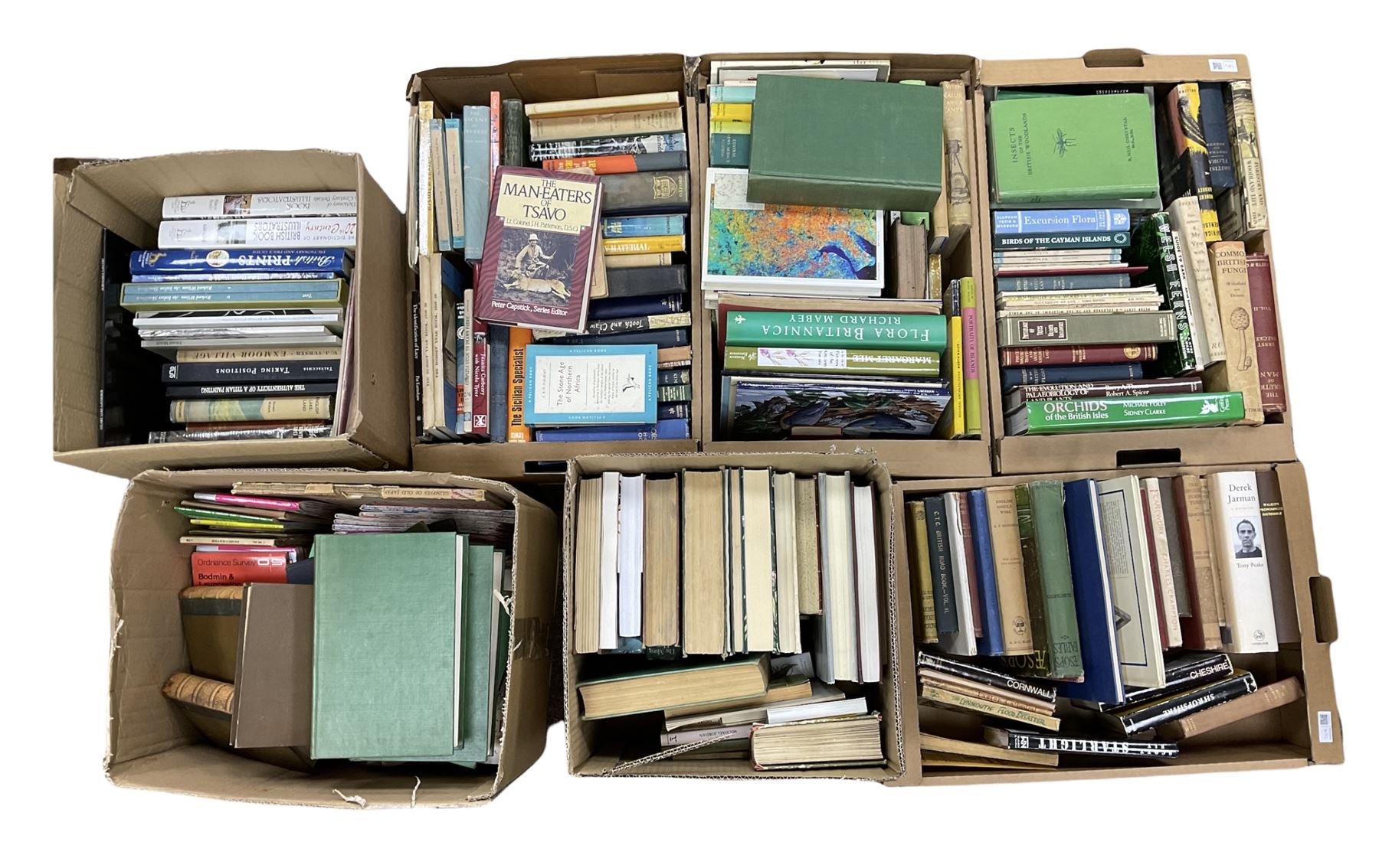 Collection of natural history books, including Lloyd's natural history books, four volumes, Insects of the British woodlands, Flowers of the field Johns & Elliott, Textbook of Theoretical Botany three volumes etc, seven boxes 