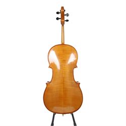 19th century cello, with two piece back, ebonised finger board and pegs, contained within Hiscox Lifelite case, cello back length 76cm
