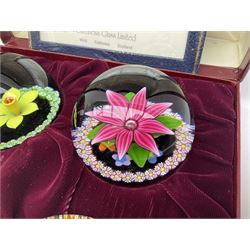 Set of four Caithness paperweights titled Four Seasons, in presentation box with certificate, designed by Colin Terris and made by William Mason, each internally decorated with a seasonal flower within a millefiori cane work garland, numbered 128 of 500