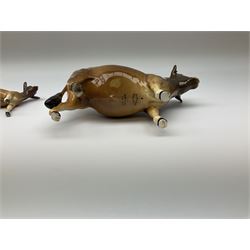 Beswick Jersey family group, comprising bull Dunsley Coy Boy model no 1422, cow Newton Tinkle model no 1345, and calf model no 1249d.