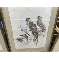 After Joan Beuche (South African 20th century) Eagles, set of six coloured prints (6)