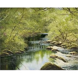 Terence 'Terry' Evans (British 1943-): 'River Teign Dartmoor - Devon', oil on canvas signed 60cm x 75cm