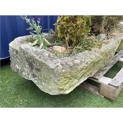 18th/19th century shallow sandstone trough/planter, long rectangular shape with rough cut and tooled sides, planted - THIS LOT IS TO BE COLLECTED BY APPOINTMENT FROM DUGGLEBY STORAGE, GREAT HILL, EASTFIELD, SCARBOROUGH, YO11 3TX