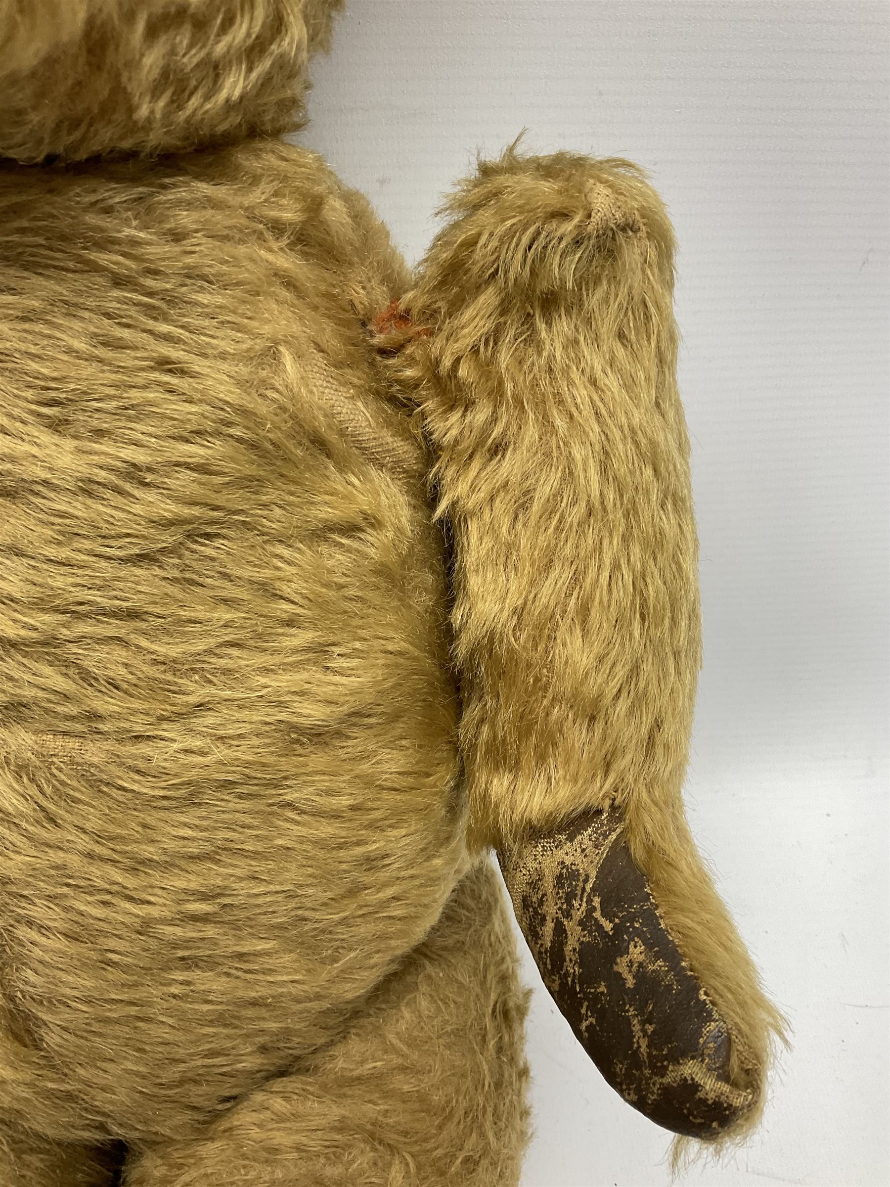 Mid-20th century plush covered teddy bear the revolving head with applied eyes, vertically stitched nose and jointed limbs with rexine pads H58cm; together with a leather backpack (2)