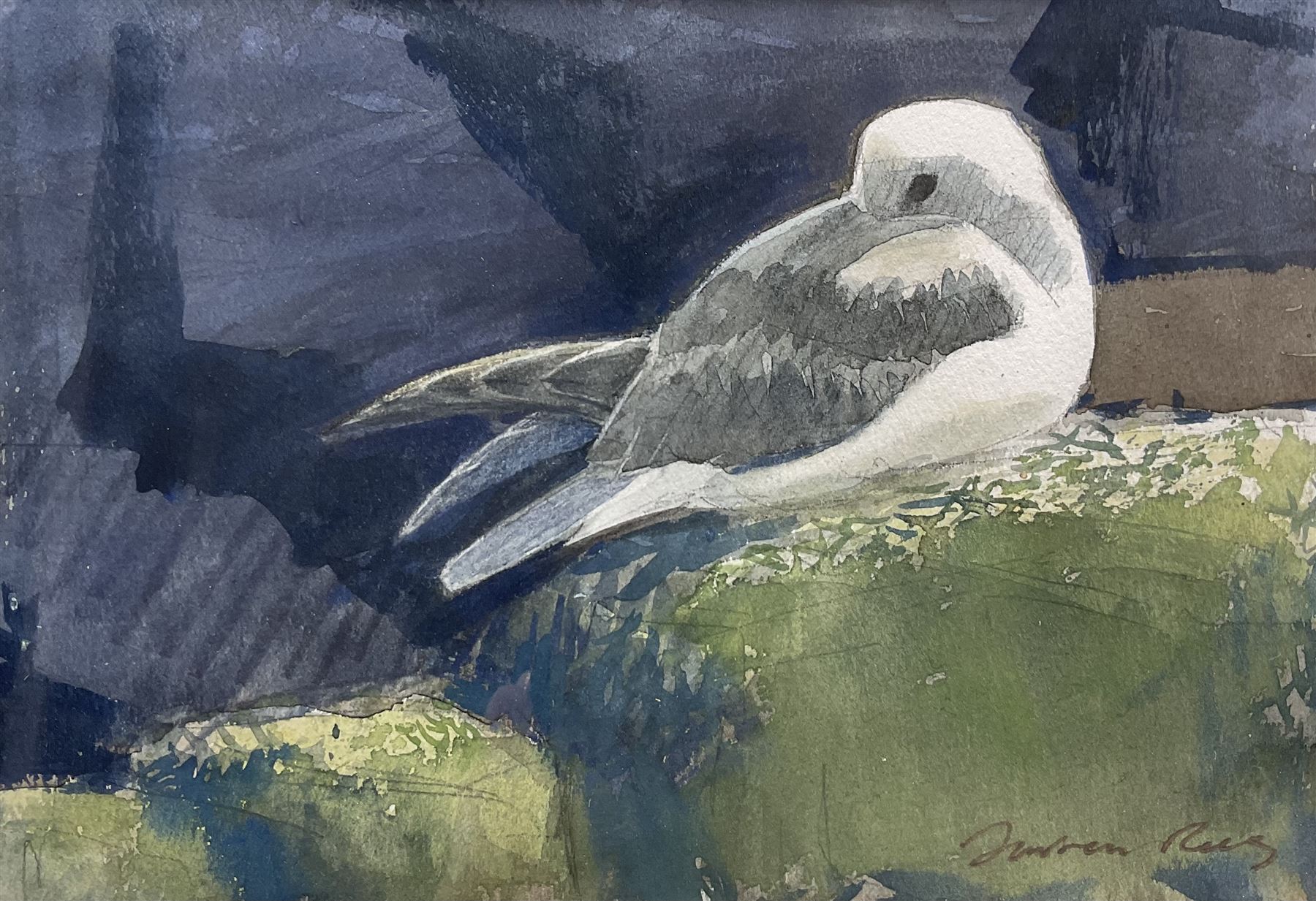 Darren Rees (British 1961-): Seagull, watercolour signed 13cm x 19cm 
Notes: Rees studied Mathematics at Southampton University, teaching the subject for a short time before pursuing painting full-time. His work has attracted many awards including the Natural World and RSPB Fine Art Awards, winning the Swarovski/Birdwatch and BBC Wildlife Artist of the Year competitions, and more recently he was crowned David Shepherd Wildlife Foundation Artist of the Year 2021. His first solo book Bird Impressions was runner up in the Natural History Book of the Year. Most recently, Darren was appointed Artist in Residence by Friends of the Scott Polar Research Institute, traveling to Antarctica with the Royal Navy.