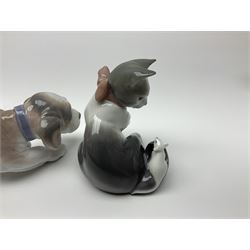 Five Lladro figures, comprising Cat and Mouse no. 5236, That Tickles no. 5888, Gentle Surprise no. 6210, Little Hunter no. 6212 and Resting Polar Bear no. 1208, largest H12cm