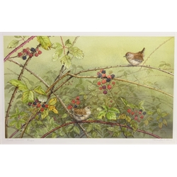  'First Fruits', limited edition colour print No.6/100 signed in pencil by Jennifer A Bell (British contemporary) 25.5cm x 40.5cm  