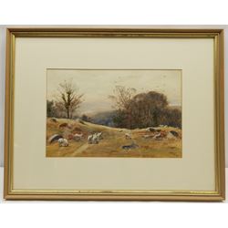John Henry Cole (British c.1828-1895): Sheep Grazing, watercolour signed 22cm x 34cm          
