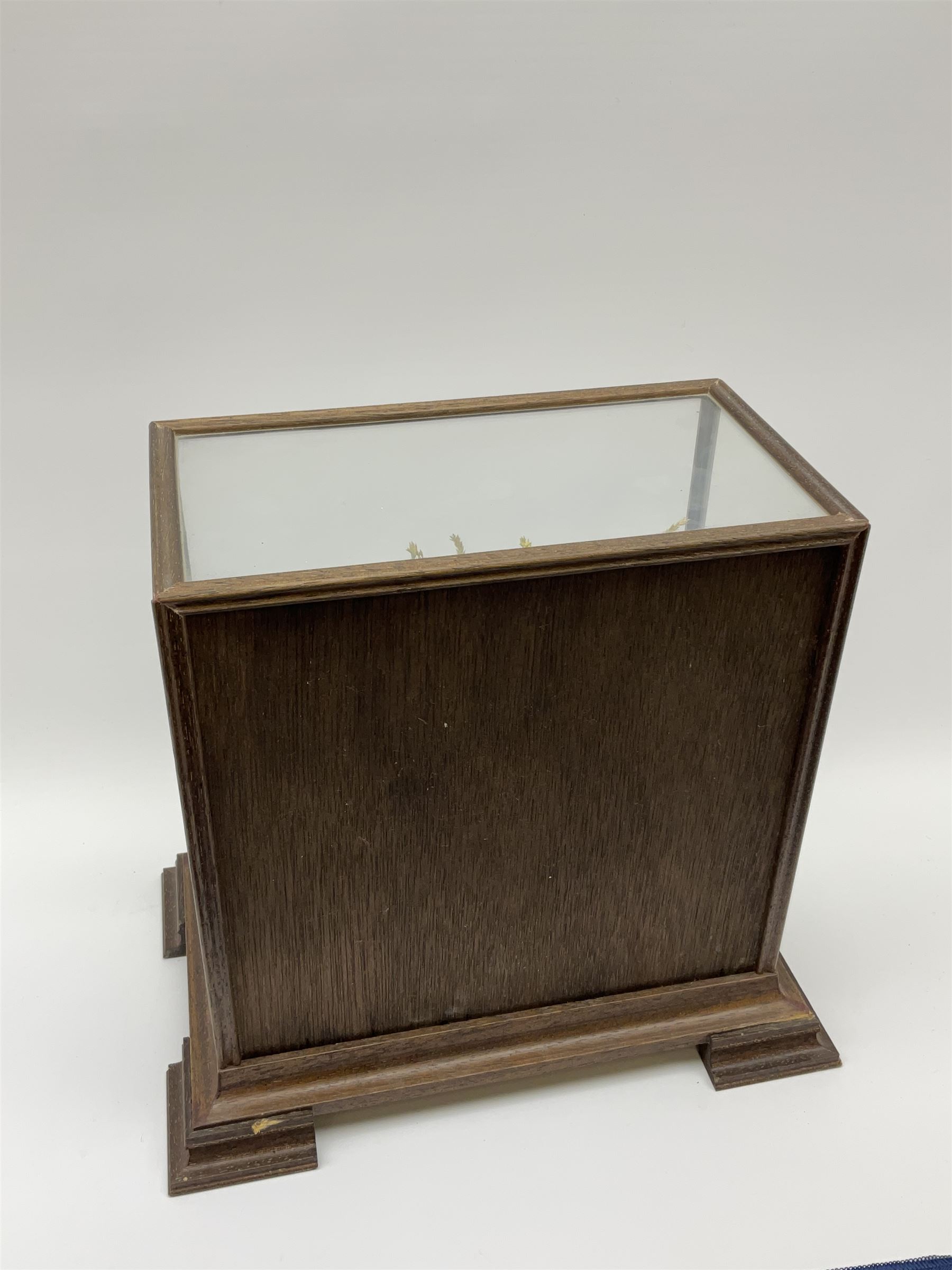 Taxidermy: 20th century cased  Common Snipe (Gallinago gallinago), mounted upon naturalistic ground work with soil and grasses, set against a painted sky backdrop, encased within a four pane display case with four bracket feet, with taxidermist paper label beneath detailed David Astley Taxidermist, H26.5cm L29cm D18.5cm