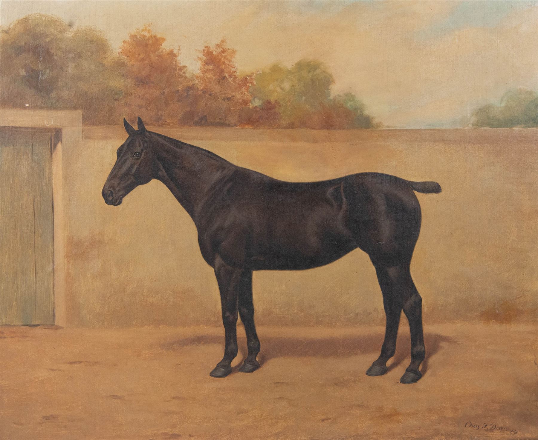 Charles F Davis (British 19th/20th Century): Horse Portraits, pair oils on canvas signed and dated '09 and '05, max 45cm x 55cm (2)