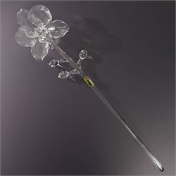 Set of six Waterford Crystal flowers, to include Fleurology Sunflower, Tulip, Lily, Rose, and others not Fleurology comprising Orchid and Calla Lily, in original boxes