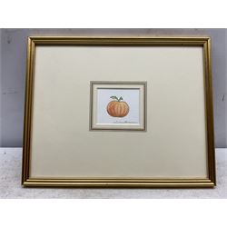 Michael Foreman OBE (British 1938-): Apple, watercolour signed 6cm x 7.5cm 
Provenance: with Chris Beetles Gallery, label verso; illustrated in Michael Foreman, 'Retold Classic Fairy Tales', London: Chrysalis Children's Books, 2005, p.55