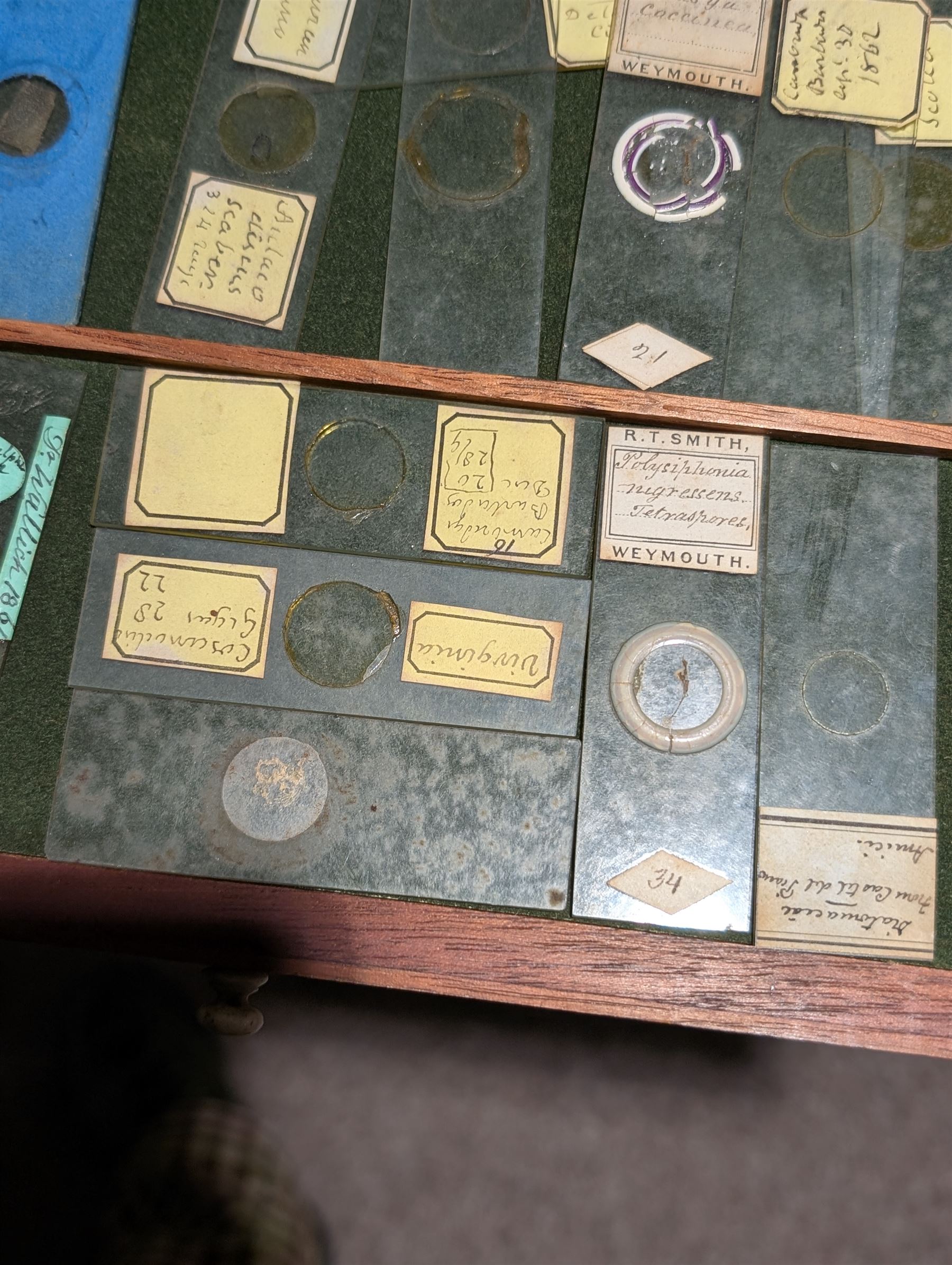 Victorian collector's specimen cabinet, containing a number of prepared microscope slides including miniature photographs, animal and human pathological, physiological and histological specimens and botanical specimens, mostly annotated in ink, the cabinet with glazed door, the drawers with bone handles and lined with green felt, owned by Dr Arthur Bristow, together with a picture of the doctor, cabinet H43cm