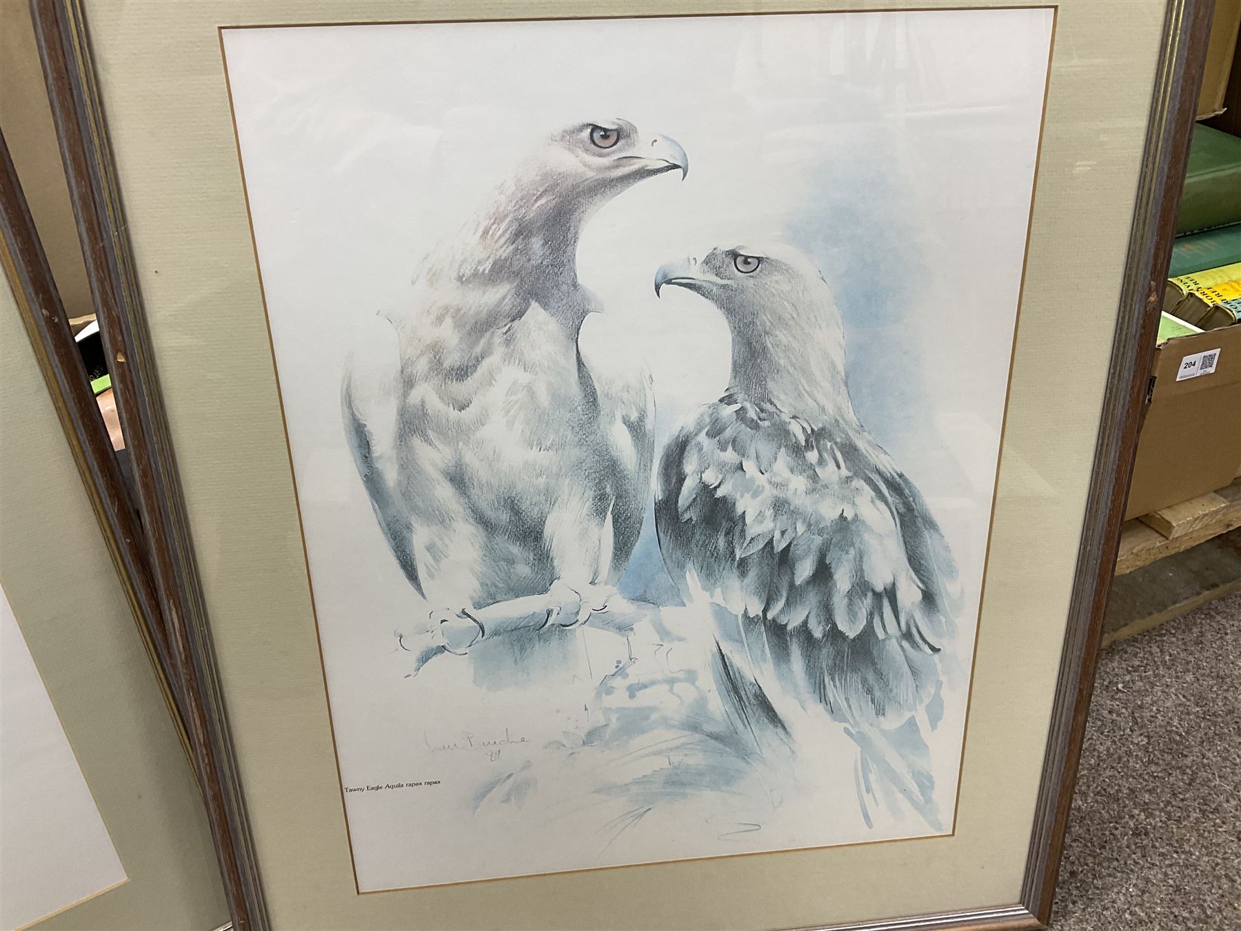 After Joan Beuche (South African 20th century) Eagles, set of six coloured prints (6)