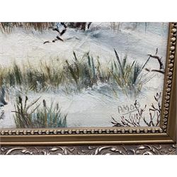 Amos (20th century): Wooded Winter Landscape, oil on canvas signed 44cm x 59cm