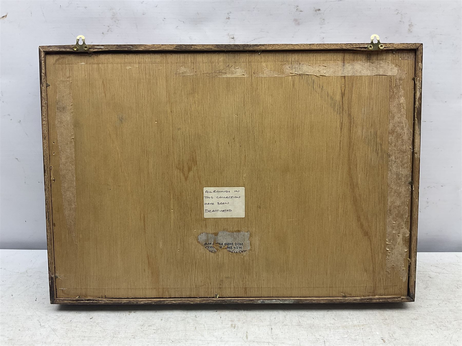 SECTION 1 FIRE-ARMS CERTIFICATE REQUIRED - Two cased specimen displays of annotated ammunition/cartridges - one entitled 'First World War Collection' containing twenty items including 7.63 Mauser, 7.65 Luger, .303, 7.62 x 54R Russian long, 455 Mk.II lead, 455 Auto etc; the other with sixteen items/clips including Musket cartridge, .577 Snider-Enfield, .577/45 Martini Henry, .303 Enfield Magazine, 7.62 Charger Clip, Specialised .303 rounds etc; largest case 41 x 76cm (2)