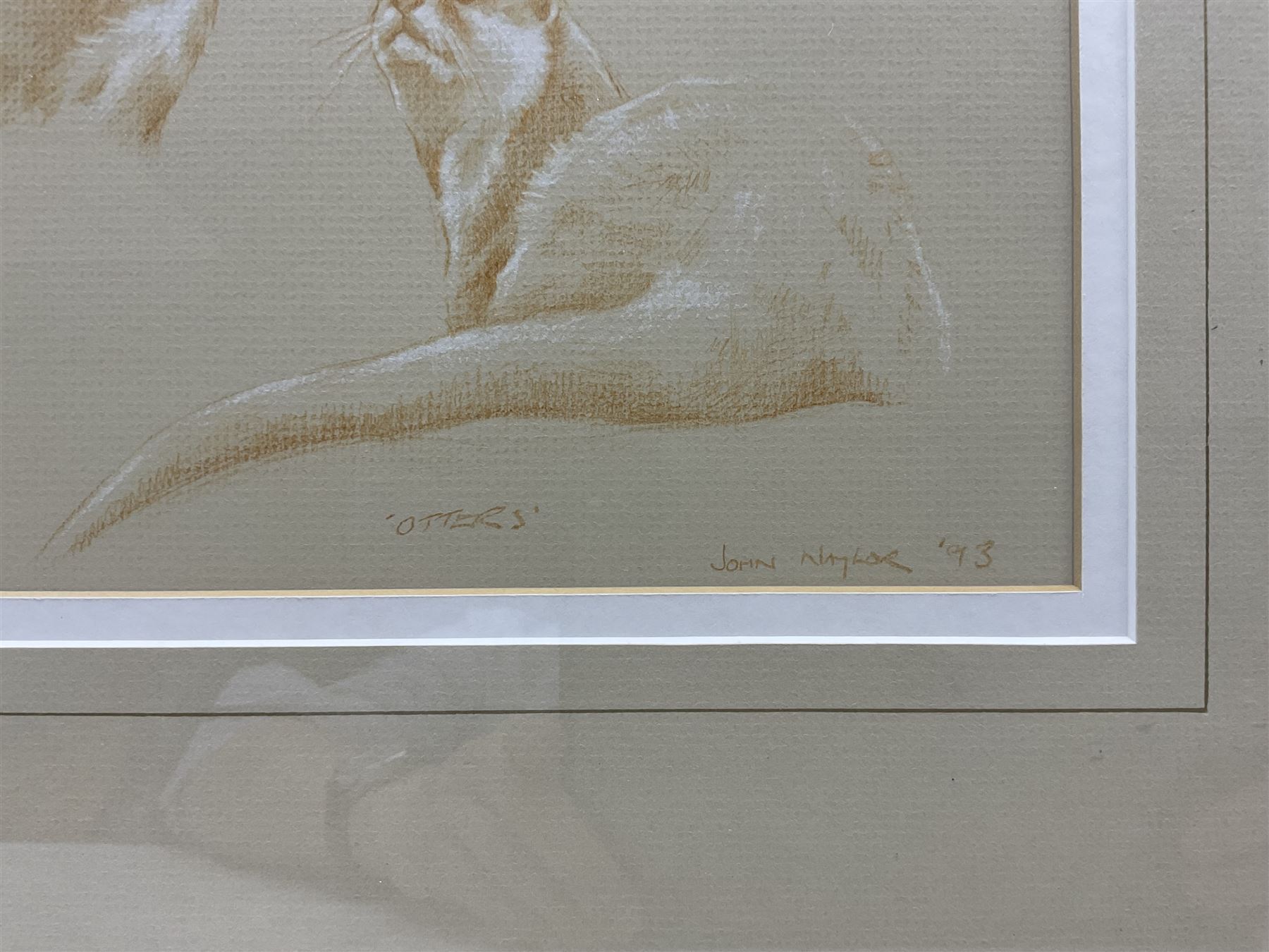 John Naylor (British 1960-): 'Otters', crayon and chalk signed titled and dated '93, 24cm x 33cm