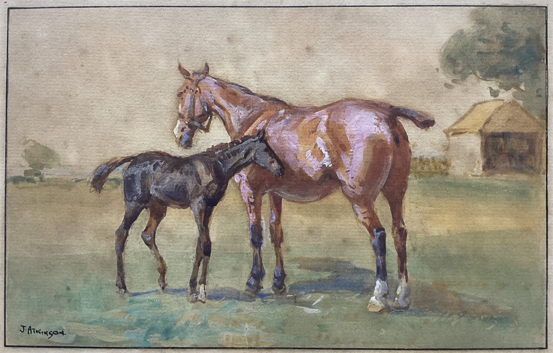 John Atkinson (Staithes Group 1863-1924): Mother and Foal, watercolour heightened with white signed 13.5cm x 20.5cm