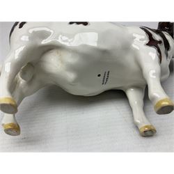 Five Beswick figures of cattle Comprising Ayrshire Bull Ch Whitehill Mandate, no 1454B, three Ayrshire Cow Ch Ickham Bessie, no 1350 and Ayrshire Calf, no 1249B, all with printed marks beneath