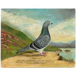 After William Andrew Beer (British 1862-1954): 'Northern Pride' - Study of the Racing Pigeon, oil on canvas signed S R Gore 38cm x 48cm (unframed)