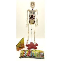 Billie Bones anatomy skeleton with set of magazines volume one to thirty four, skeleton H120cm. 
